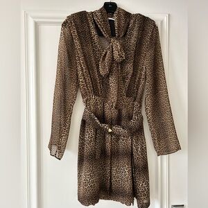 Zara Animal Print Dress